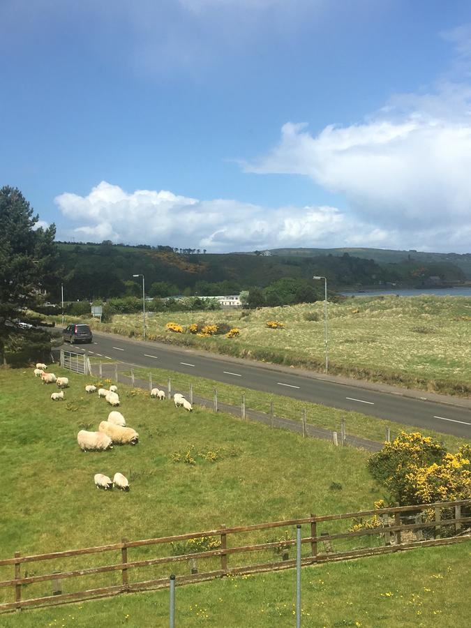 1 Bayview Bed and Breakfast Glenariff Buitenkant foto